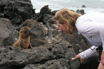 Galapagos Islands - Free image #306239
